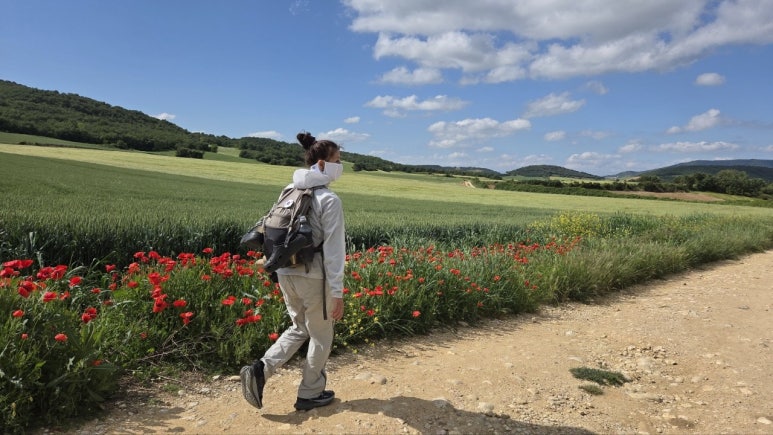 마음은 계속 까미노길에 남아있는듯 하다_800km, 부엔까미노! 님