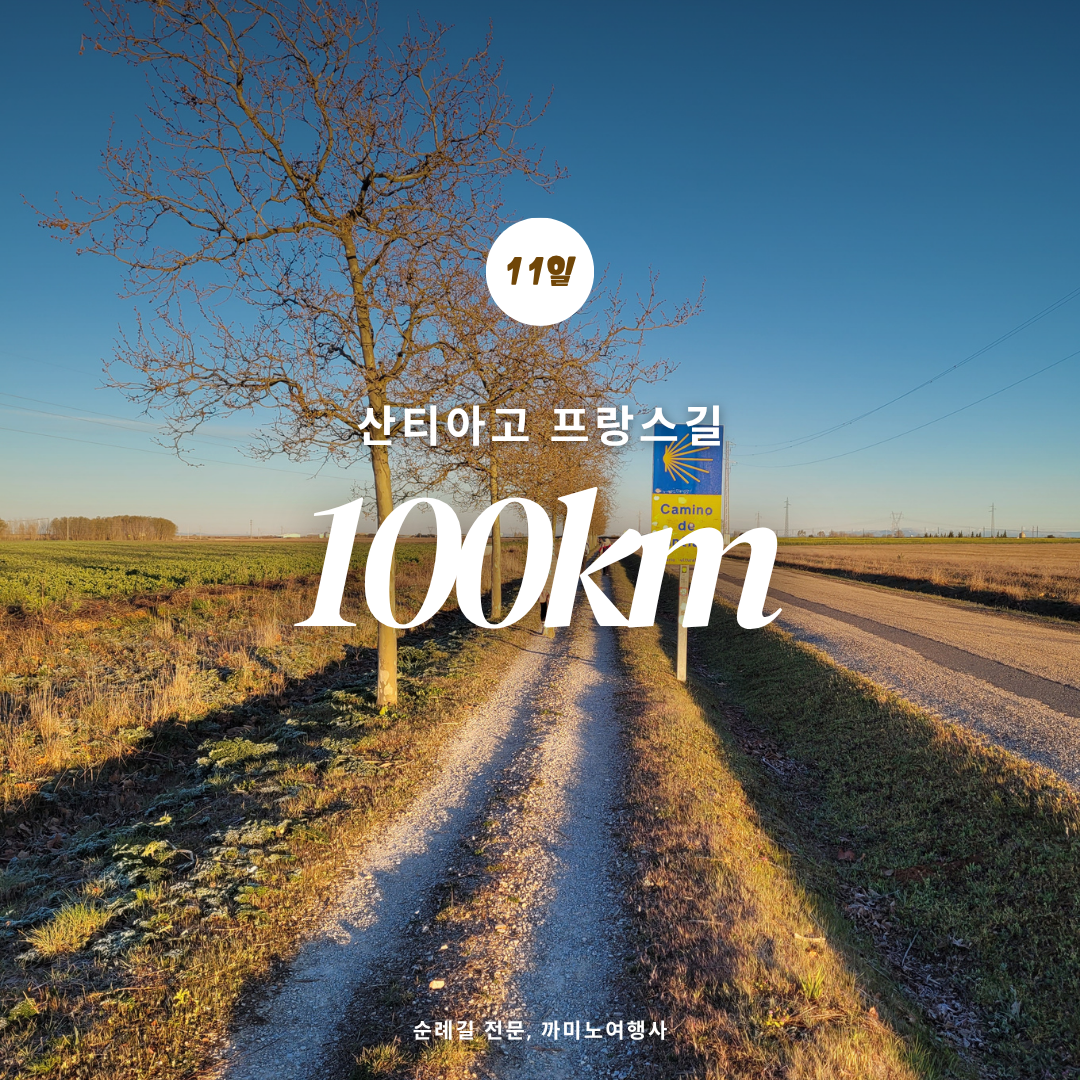 *프랑스길 사리아 11일 완주코스*