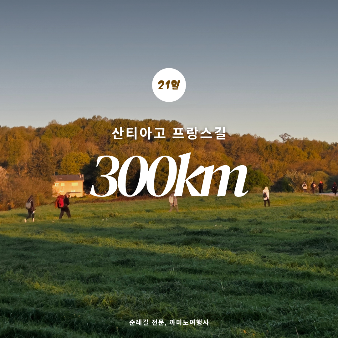*프랑스길 300km 21일 하프코스*