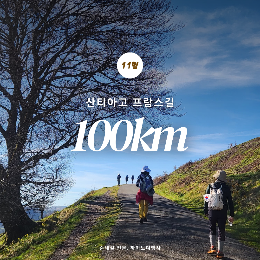 *프랑스길 100km 11일 단기코스*